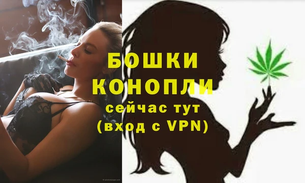 СК Вяземский