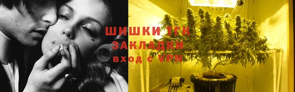 СК Вяземский