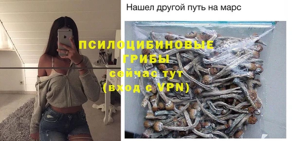 СК Вяземский