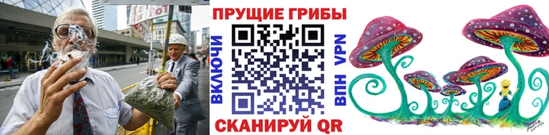 Купить закладки Новоузенск Псилоцибиновые грибы мицелий