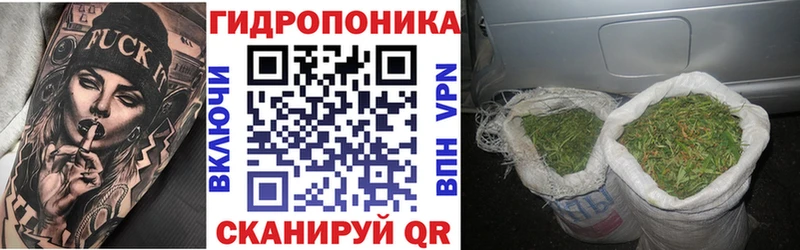 Купить закладки  Новоузенск  Бошки марихуана VHQ 